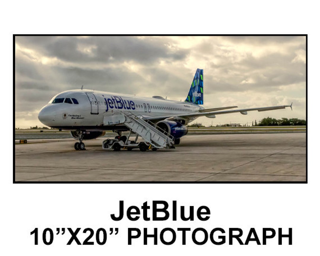 Jetblue international pet policy top
