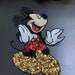 see more listings in the Sequin Patches section