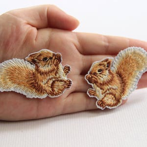 May include: Two embroidered iron-on patches of brown squirrels with white tails. The squirrels are facing the right side of the image.