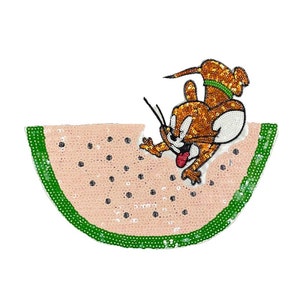 Watermeloen lovertjes opstrijkbare appliqués, paillettenpatch, pailletten patch benodigdheden voor jas, T-shirt, decoratieve applicaties kostuums patches