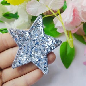 May include: A silver sequined star-shaped patch with a light blue outline. The star is filled with small, shiny sequins. The patch is held in a hand, with flowers in the background.
