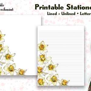 Stationery Daffodil Corner - Letter Writing Paper - Letter Size 8.5x11 - Lined Unlined - Printable - Instant Download PDF