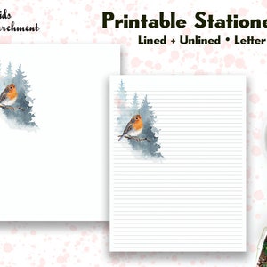Stationery Forest Bird - Letter Writing Paper - Letter Size 8.5x11 - Lined Unlined - Printable - Instant Download PDF