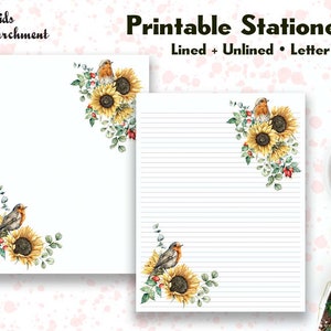 Papelería Girasol Robins - Papel para escribir cartas - Tamaño carta 8.5x11 - Forrado sin forro - Imprimible - Descarga instantánea de PDF