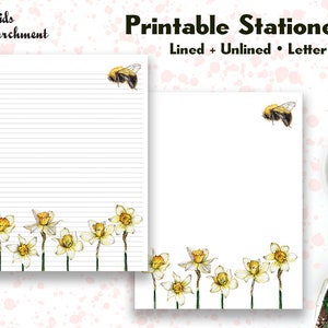Stationery Daffodil Bee - Letter Writing Paper - Letter Size 8.5x11 - Lined Unlined - Printable - Instant Download PDF