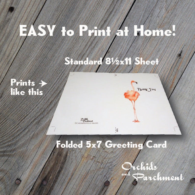 Blank Inside Sympathy Card Instant Download PDF Watercolor Splash Bird Flock Printable Greeting Card