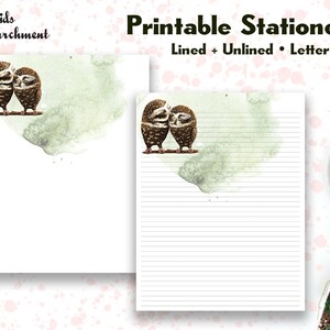 Stationery Owls - Letter Writing Paper - Letter Size 8.5x11 - Lined Unlined - Printable - Instant Download PDF