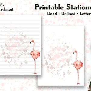 Papelería Acuarela Flamenco - Papel para escribir cartas - Tamaño carta 8.5x11 - Forrado sin forro - Imprimible - Descarga instantánea PDF