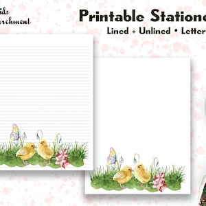 Stationery Two Chicks Butterfly - Letter Writing Paper - Letter Size 8.5x11 - Lined Unlined - Printable - Instant Download PDF