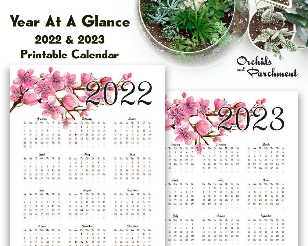 Blossom Schedule 2022 Year At A Glance Calendar Cherry Blossom 2022 2023 | Etsy Australia