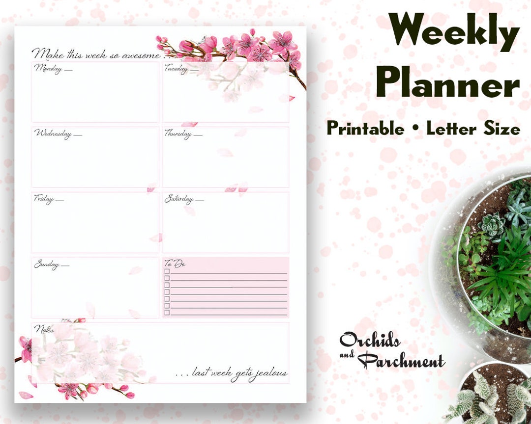 Weekly Planner Cherry Blossom Petals Letter Size 8.5 - Etsy
