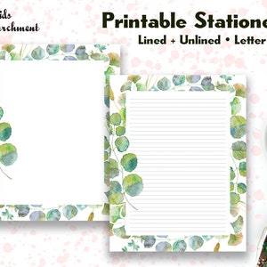 Stationery Spring Story Border - Botanical - Letter Writing Paper - Letter Size 8.5x11 - Lined Unlined - Printable - Instant Download PDF
