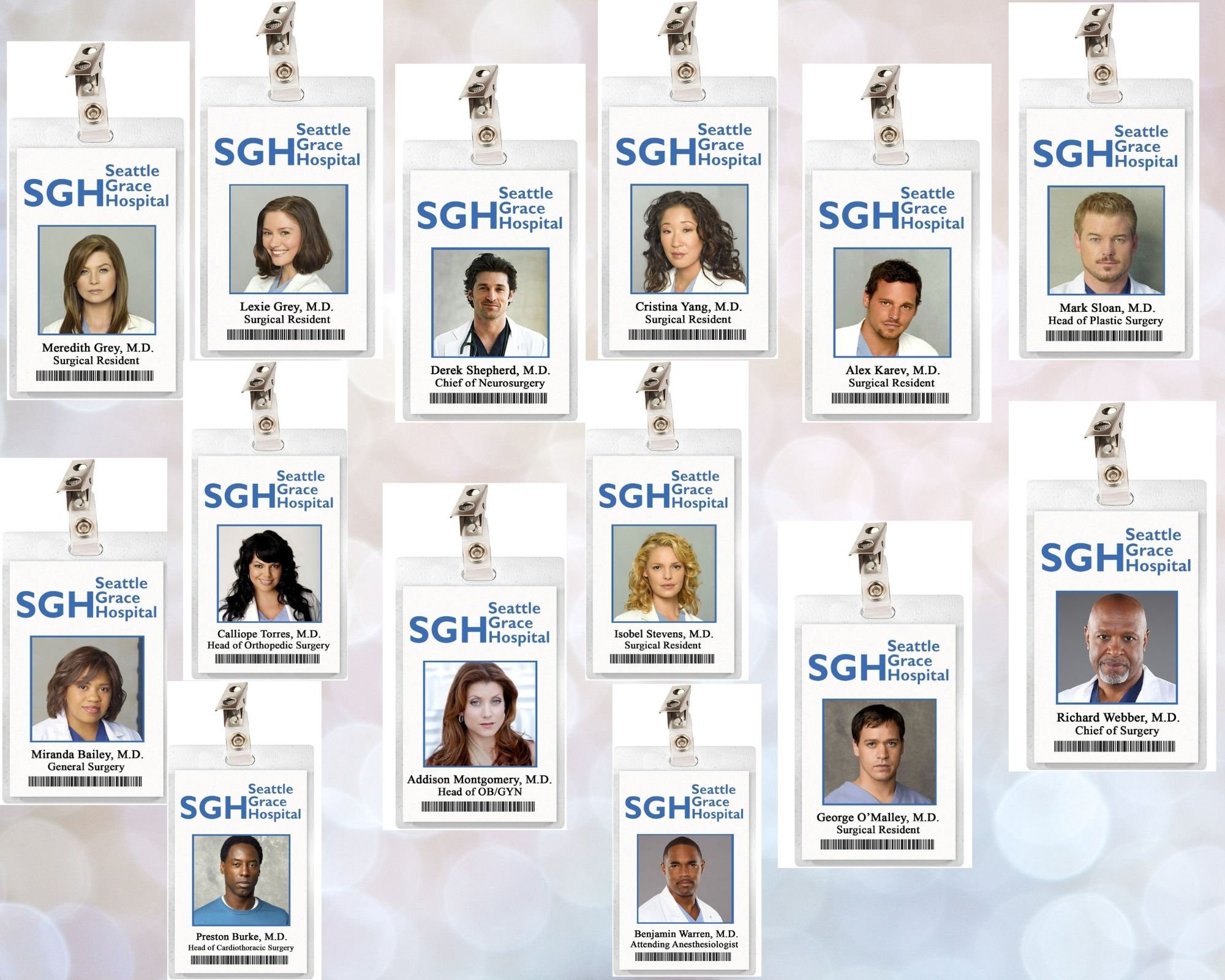 Grey's Anatomy Seattle Grace Hospital ID Badge: Meredith, Derek, Alex,  Lexie, Izzie, George, Sloan, Cristina, Addison Resident Laminate 