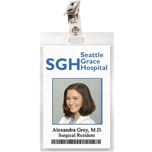 Grey's Anatomy Alexandra LEXIE GREY Seattle Grace Hospital ID Badge ...