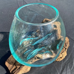 Stunning Molten glass bowl on reclaimed teak wood base