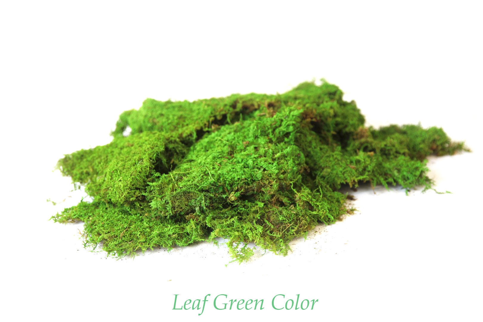 1 lb Premium Preserved Moss in Color Leaf Green.