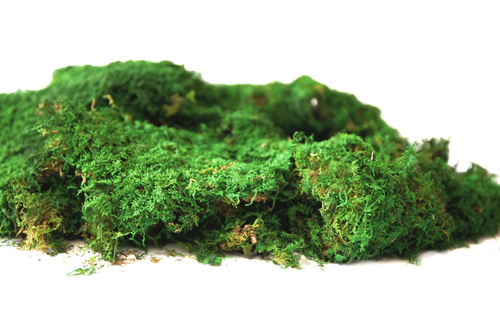 1 lb Premium Preserved Moss in Color Sierra Green.