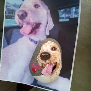 Pet Owners Gift, Rainbow Bridge Fur Baby Death Keepsake, Pet Portraits and Memorial Loss Gift, Hand Painted Beach Rock