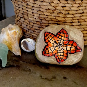 Stern-Fisch-Strand-Hausakzent, mittlere Strandfelsen-bemalte Kaffeetisch-Kunst, Seeleben-u. Aquarium-Dekor, orange Seestern-Malerei