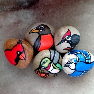 May include: Five painted rocks with different bird designs. The rocks are painted with realistic details, including the birds' feathers, beaks, and eyes. The birds are a cardinal, a blue jay, a hummingbird, a woodpecker, and a robin.
