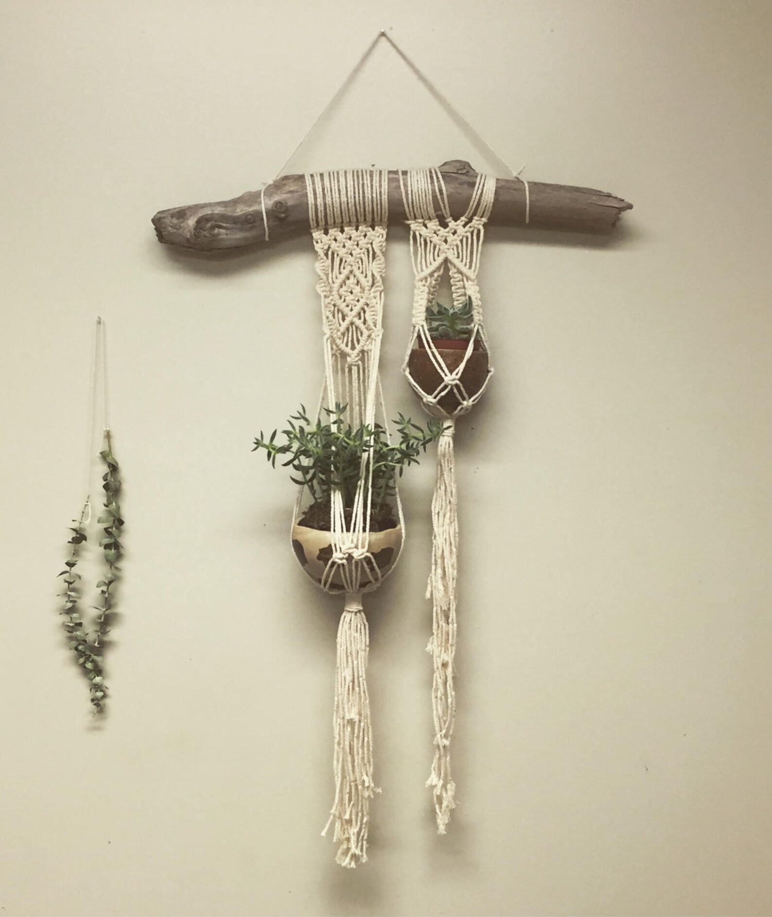 Double Macrame Plant Hanger on Driftwood Etsy