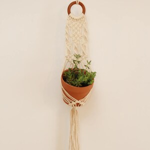 Puede incluir: Un macetero de macram&eacute; blanco con un anillo de madera en la parte superior. Una peque&ntilde;a maceta de terracota con una planta verde cuelga del macram&eacute;.