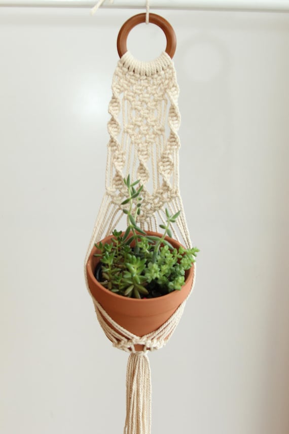 indoor plant growing kit Modern Sprout Tapered Tumbler Grow Kit