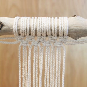 May include: A close-up of a white macrame knot tied around a branch. The knot is made with multiple strands of white cord, creating a fringe effect.