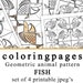 see more listings in the Coloringpages section