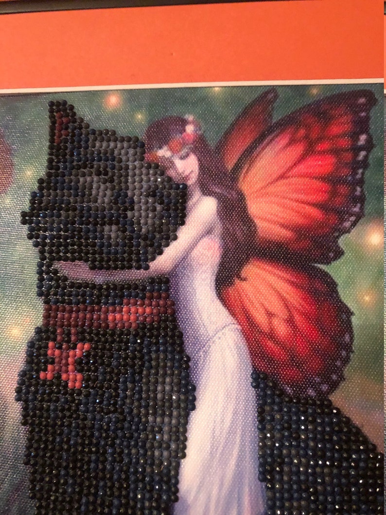 Gray kitty with fairy