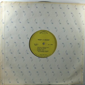 May include: Yellow vinyl record label with the text "Majorette Records" and "Tressy & Cricket" in black. The label also includes the song titles "Going on a Shopping Trip", "Buying the Present", "Glamorous Party", "Planning What to Wear to a Birthday Party", and the record number "M-308-A, Side 1" and "33 1/3 RPM".