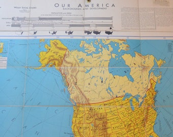 Vintage School Social Studies Map; Denoyer-Geppert WA37; The 50 United States; 1965
