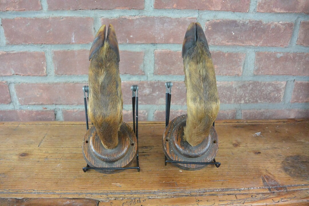 Wood Mounted Deer Hoof Coat and Hat Rack Gun Rack or Robe or Etsy