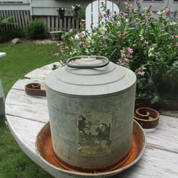 Metal Chicken Waterer Etsy