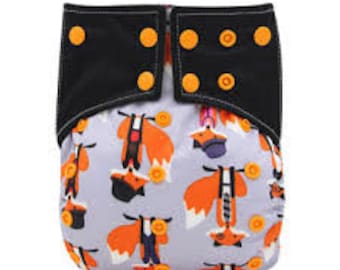 5 All in 1 cloth diapers