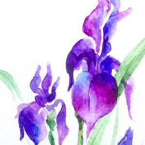 May include: Watercolor painting of purple iris flowers with green stems and leaves on a white background.
