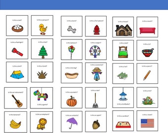 Yes No Questions, Sorting, Speech Therapy, ABA, Functions Task Cards, Autism