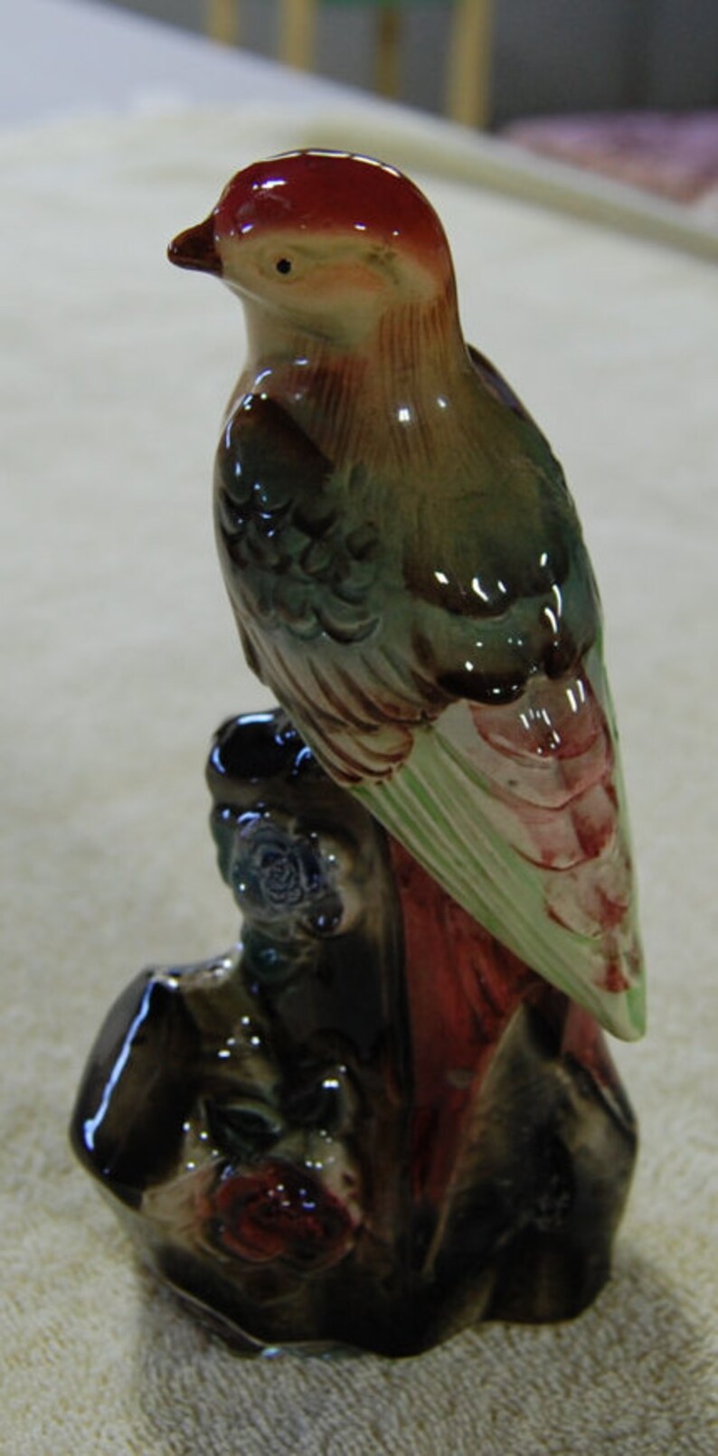 Bird