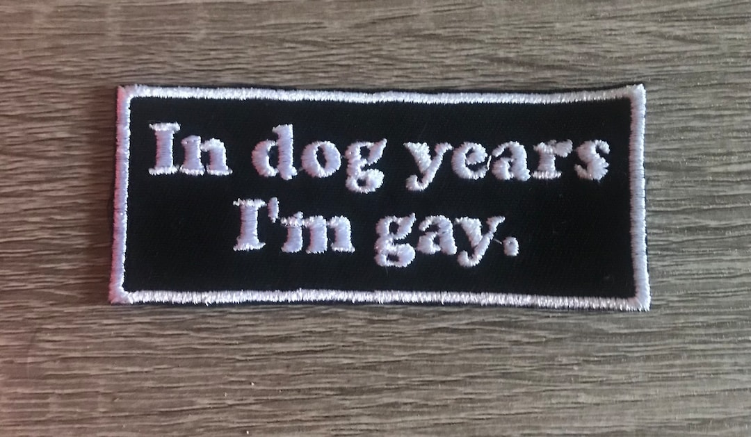 In Dog Years I'm Gay Patch, Funny Patch, LGBTQ Patch, Sarcastic Patch ...