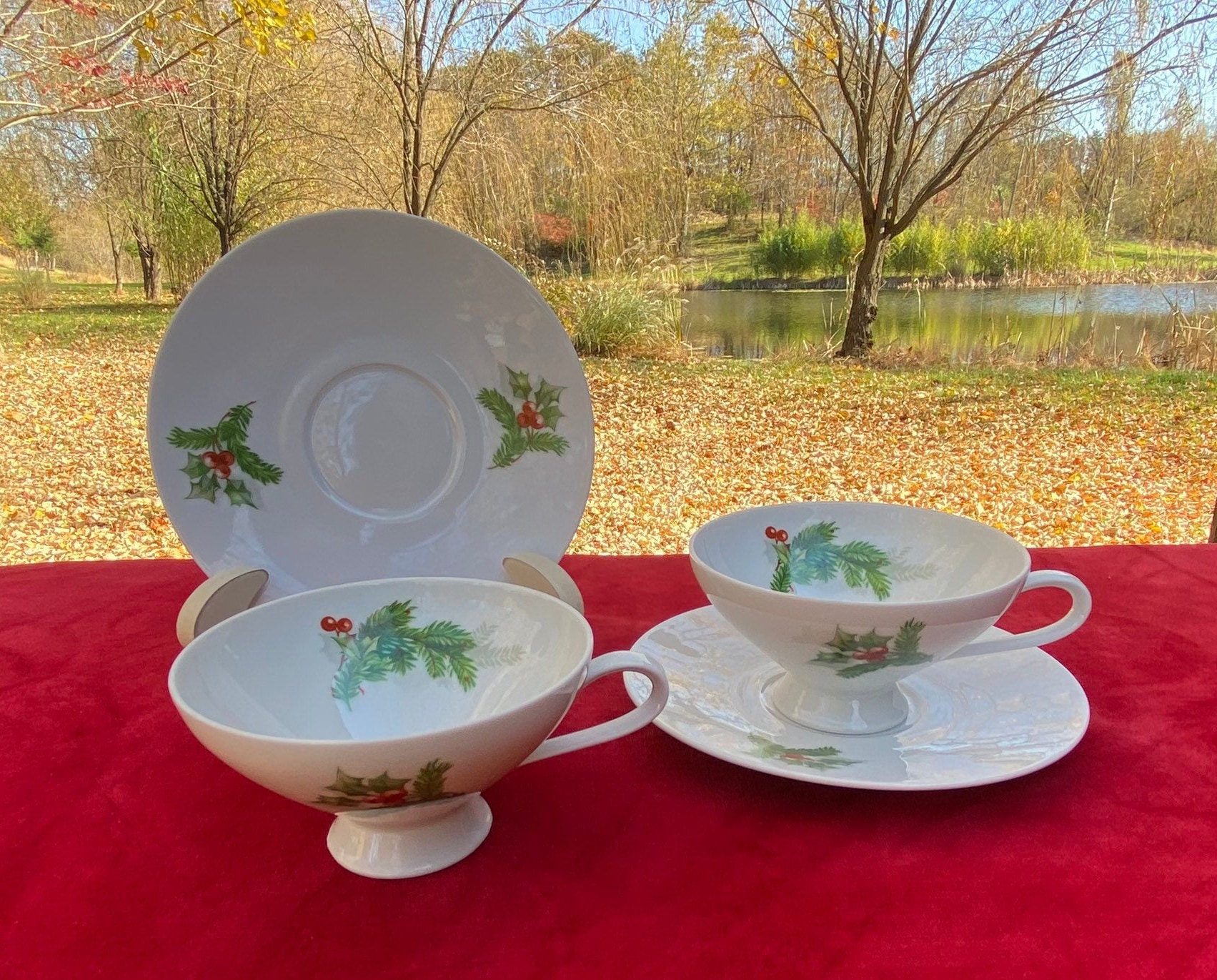 Vintage Seltmann Bavaria Weiden Western Germany Tea Cup & Saucer