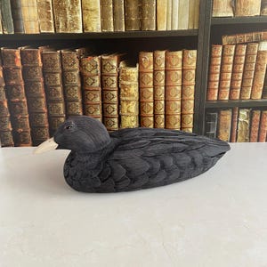 Puede incluir: Figura de pato negro con pico blanco, sobre una superficie blanca. Libros antiguos en un estante de fondo. La figura tiene texturas detalladas de plumas.