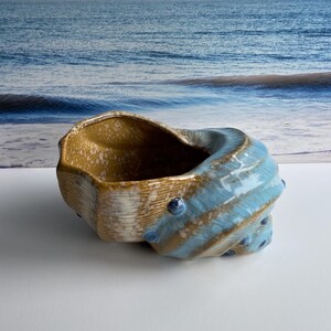 May include: A ceramic bowl with a seashell design. The bowl features a light blue and tan color scheme with a textured surface. The bowl has a unique, organic shape, and is suitable for decorative use.