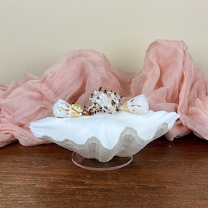 Vintage Clam Shell Dish ~ Real Clam Shell And Sea Shells Dish ~ Seashell Trinket Dish ~ Beach House Decor ~ Seashells ~ Clam Shell ~ Beach