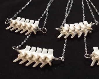 May include: Six silver necklaces with white bone-like pendants. The pendants are shaped like a spine with multiple vertebrae. The necklaces are displayed on a black surface.