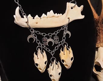 Coyote Jawbone Necklace, Turtle Skull Necklace, Witch, Wiccan, Pagan, Halloween, Shaman, Gothic, Bone Necklace, Bone Jewelry