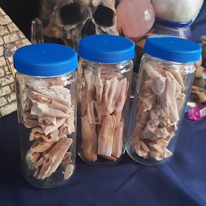 Bottle of Teeth, Broken Teeth,  Witchcraft, Witchcraft Supply, Altar Decor, Altar Magic, Magic Supply, VooDoo Magick, Curio Cabinet, Oddity