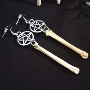 Coyote Bone Earrings, Stainless Steel Bone Earrings, Inverted Pentagram Earrings, Real Animal Bones, Bone Jewelry, Bone, Gothic Earrings