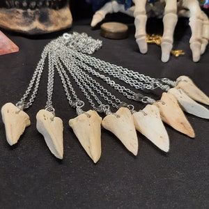 Deer Bone Pendant, Bone Pendant, Stainless Steel Pendant, Gothic Necklace, Gothic Pendant, Witch Necklace, Witch Pendants, Bone Necklace