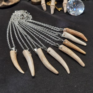 Deer Antler Pendant, Bone Pendant, Stainless Steel Pendant, Gothic Necklace, Gothic Pendant, Witch Necklace, Costume Jewelry, Bone Necklace