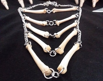 Collar de hueso de coyote, joyería de hueso, collar de hueso, joyería de hueso real, collar de taxidermia, collar gótico, joyería gótica